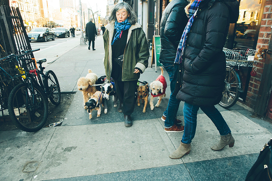 AMIE-TIM-NYC-ENGAGEMENT-CYNTHIACHUNG-0052.gif