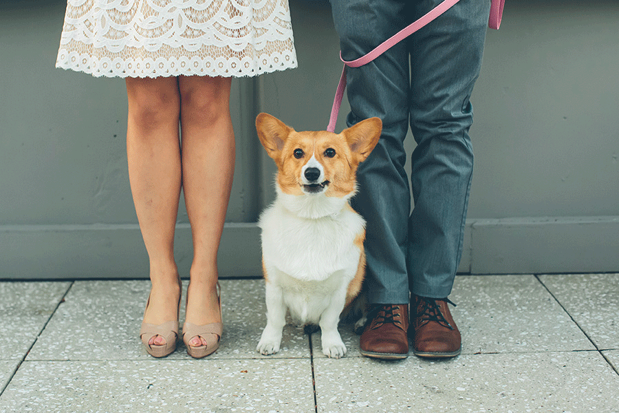 JENNIFER-PAUL-NYC-ENGAGEMENT-SESSION-CYNTHIACHUNG-BLOG-0095.gif