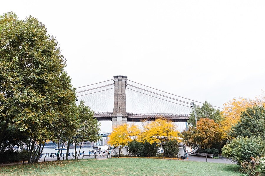 NYC-ELOPEMENT-MICRO-WEDDING-1-HOTEL-BROOKLYN-BRIDGE-DUMBO-ENGAGEMENT-PHOTOS-0003.jpg