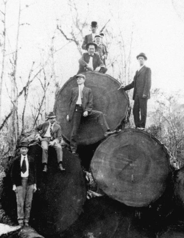 Woodstock Vintage Lumber History