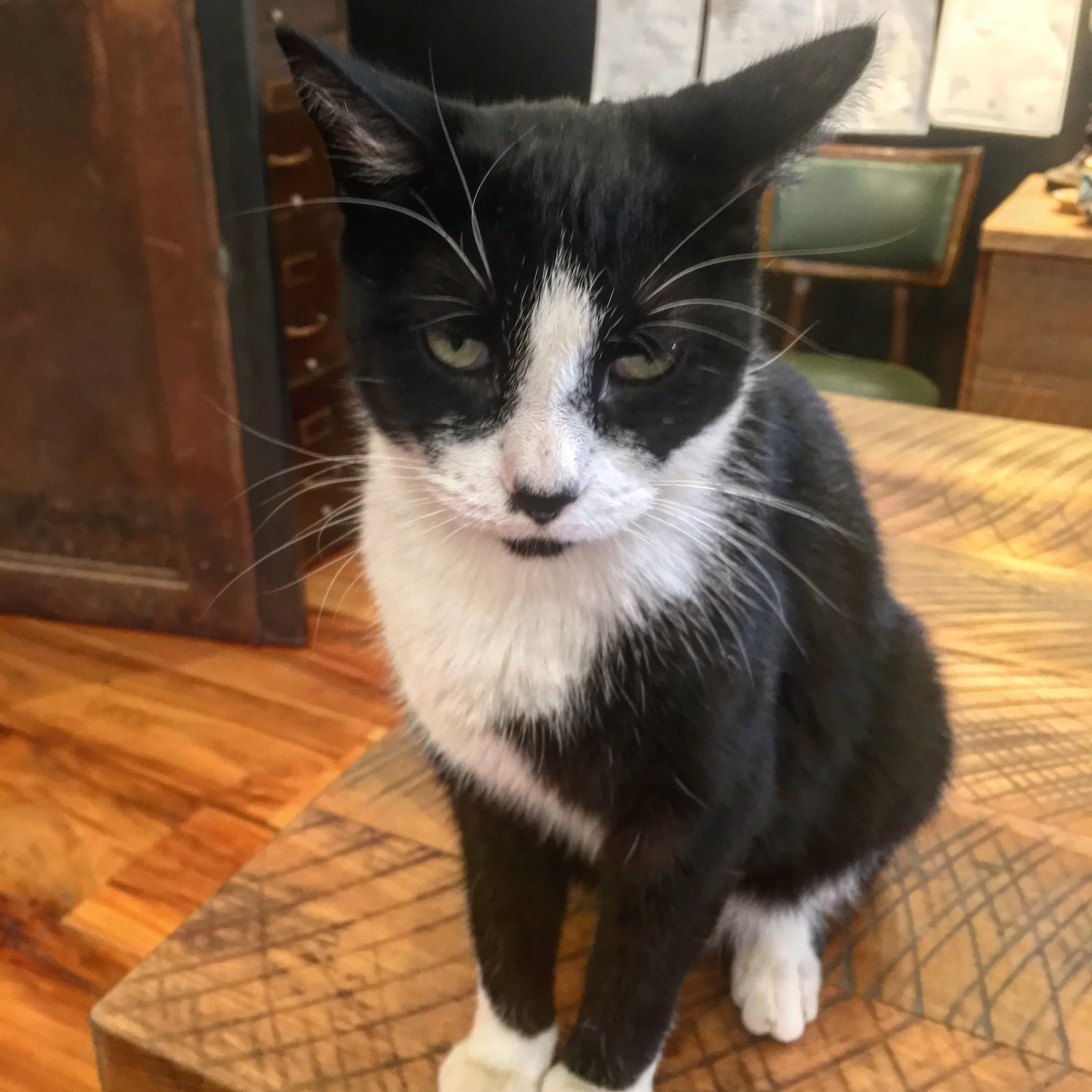 Woodstock Vintage Lumber: Staff Spotlight