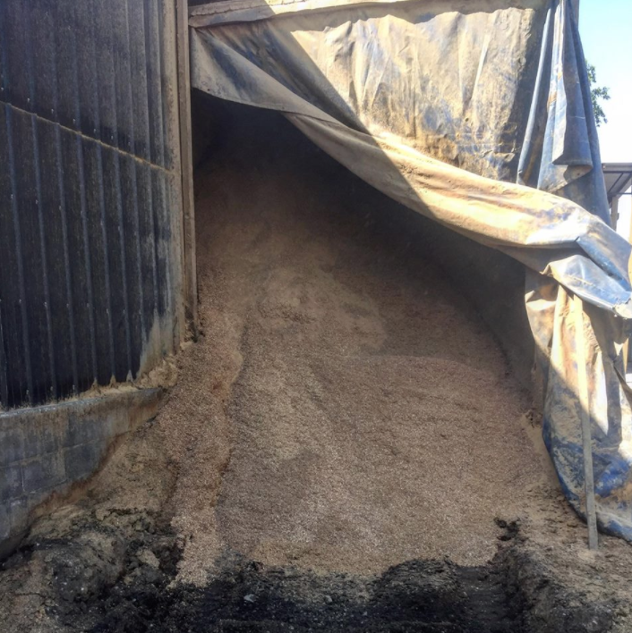 Free Sawdust Available!