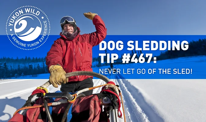 161 - Facebook Tips_dog sledding_01-FNL.jpg