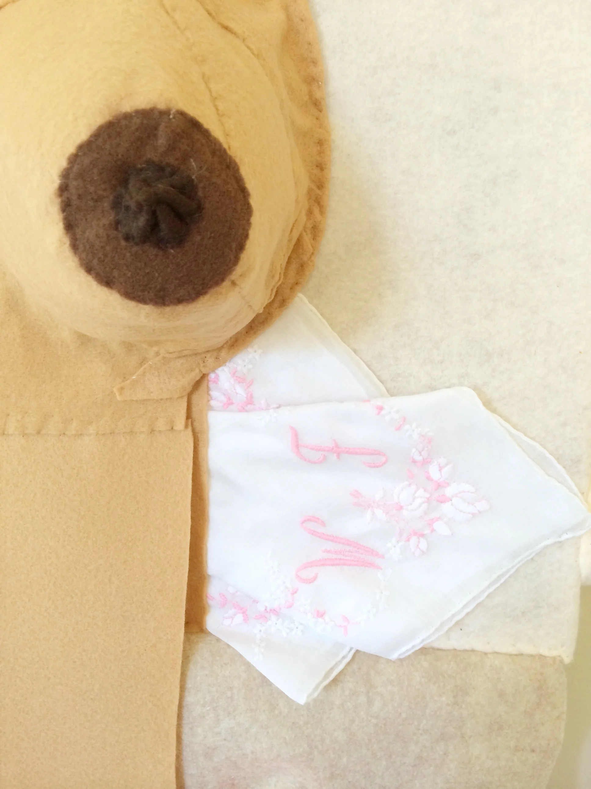 DCHICAS-Abstract 502_P2.JPG