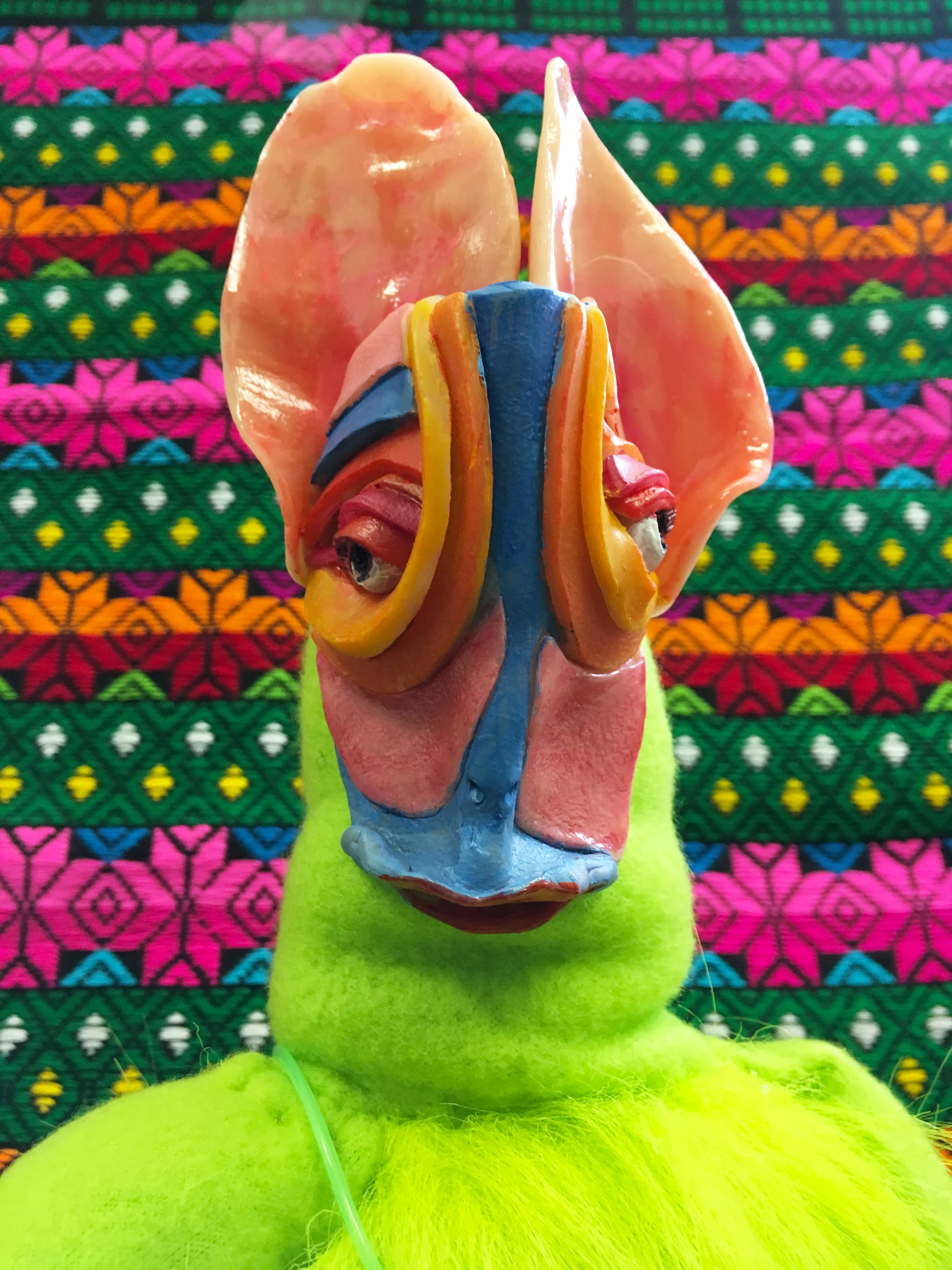 Detail of Chihuahua Guru