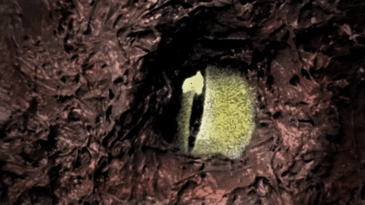 Grayson Gilmour | Minus Times Infinity