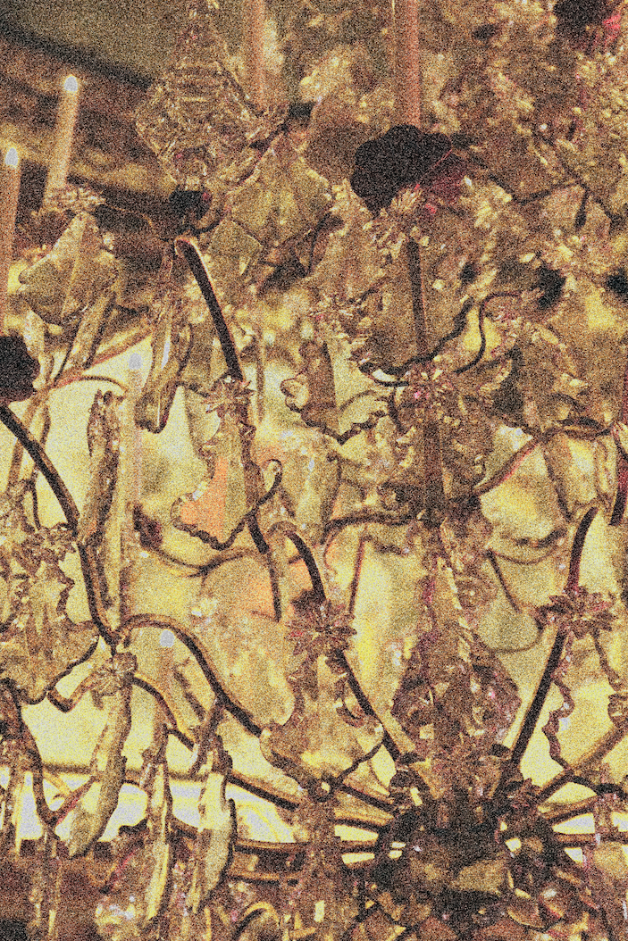 Screen Shot 2015-07-13 at 3.13.44 pm.png