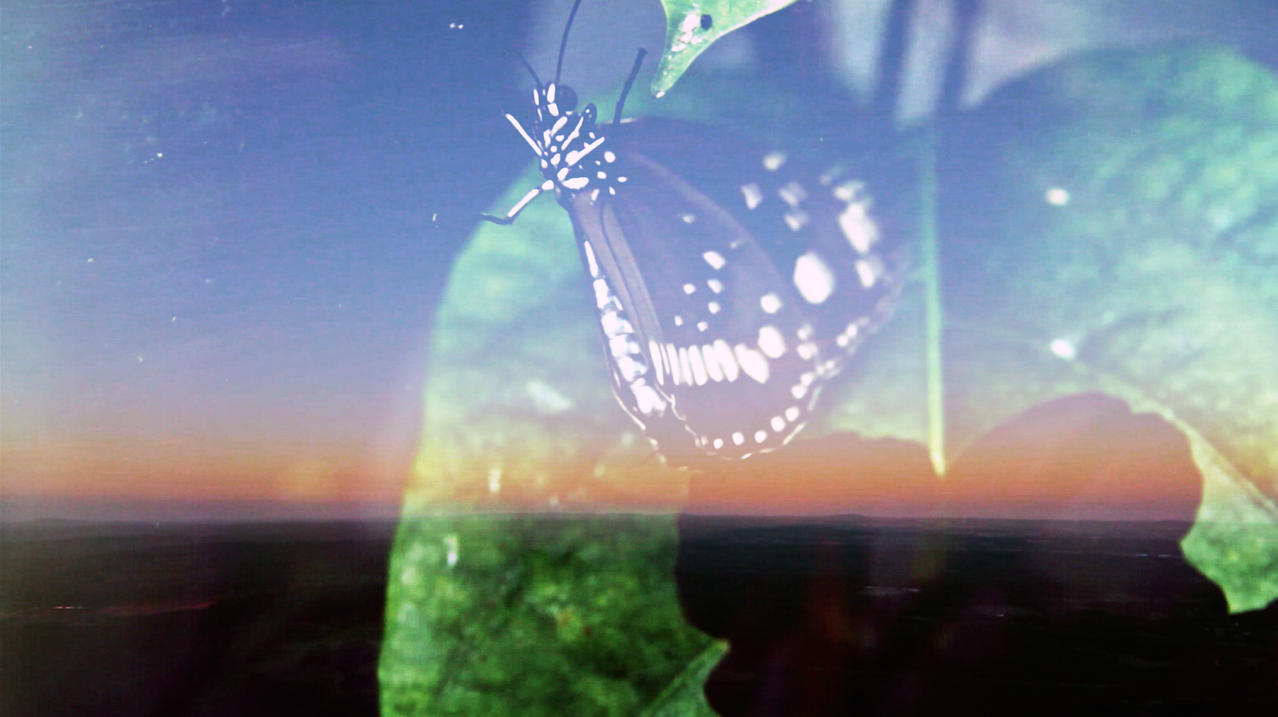 Screen Shot 2015-07-13 at 5.12.23 pm.png