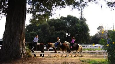 los feliz ponies.jpeg