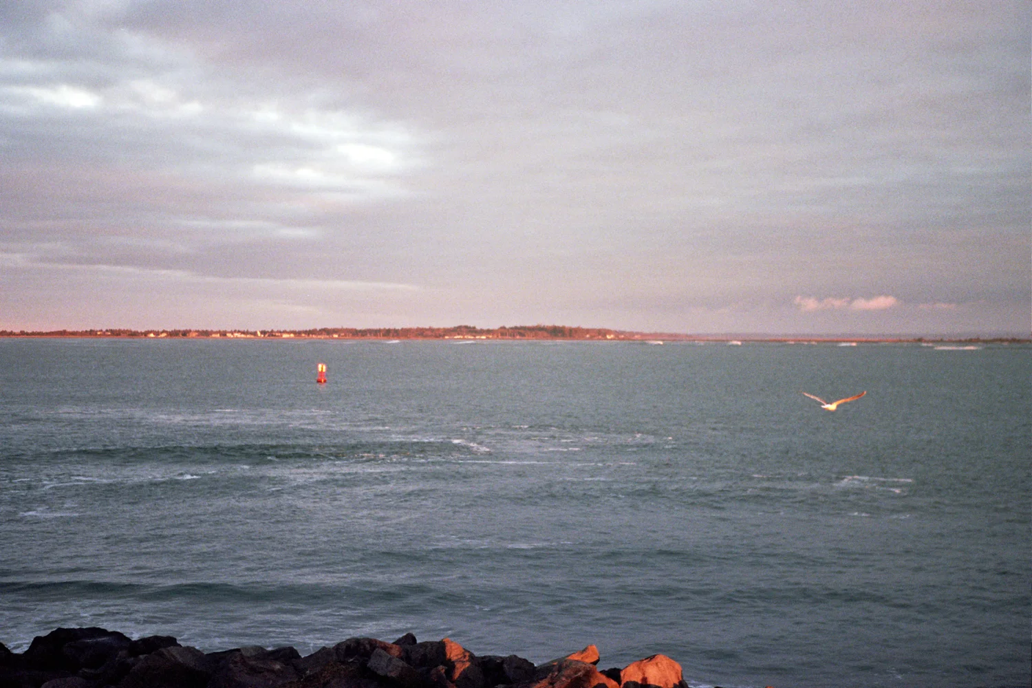 __6_0077.jpg