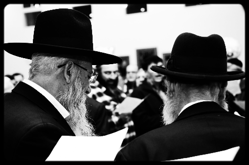 DSC_0030.jpg
