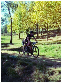 Teh Batter MTB Mt Beauty 6hr 2013.jpg