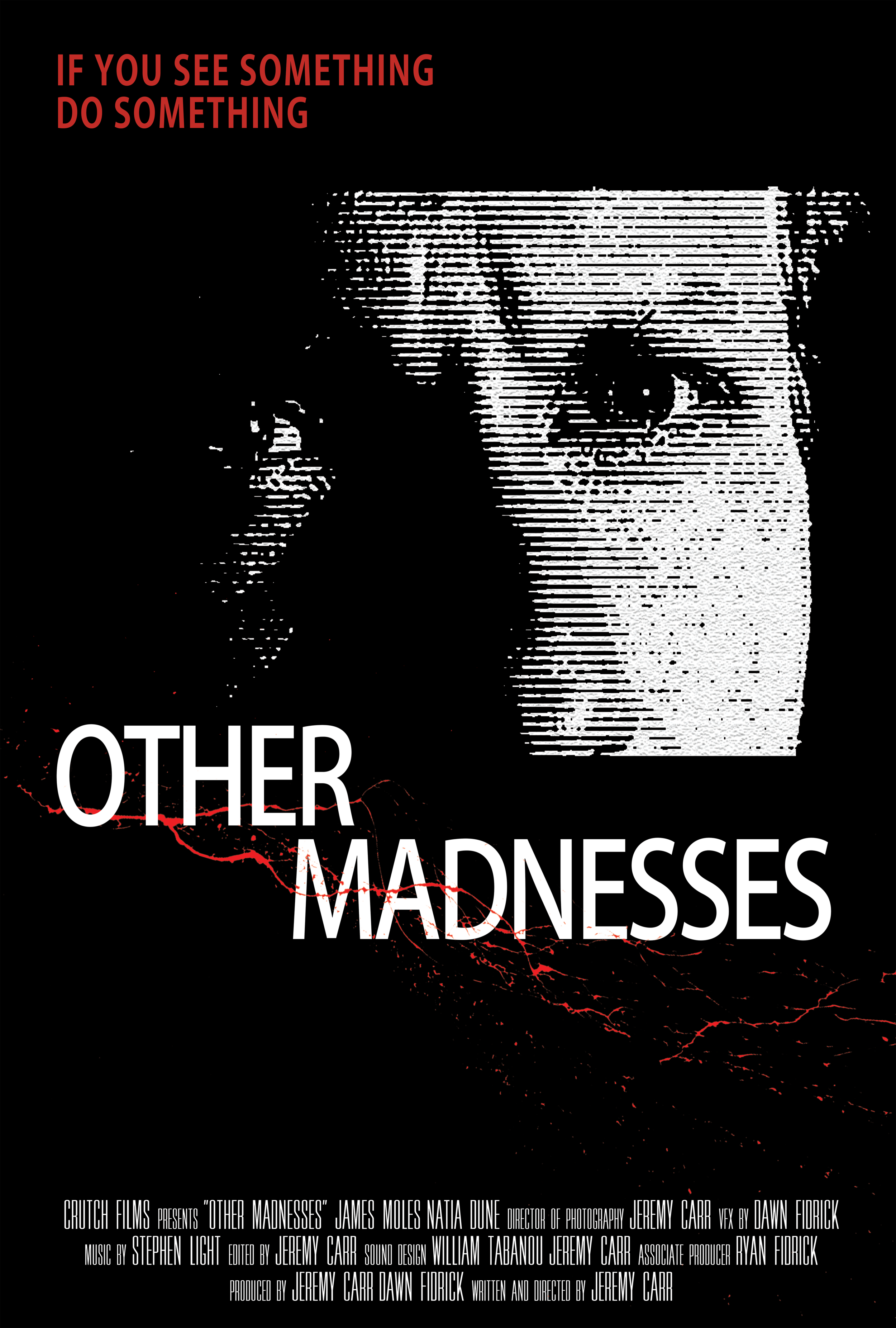 Other_Madnesses_Poster.png