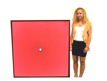 Free Machine Vision Lighting, Lensing, and software overview.