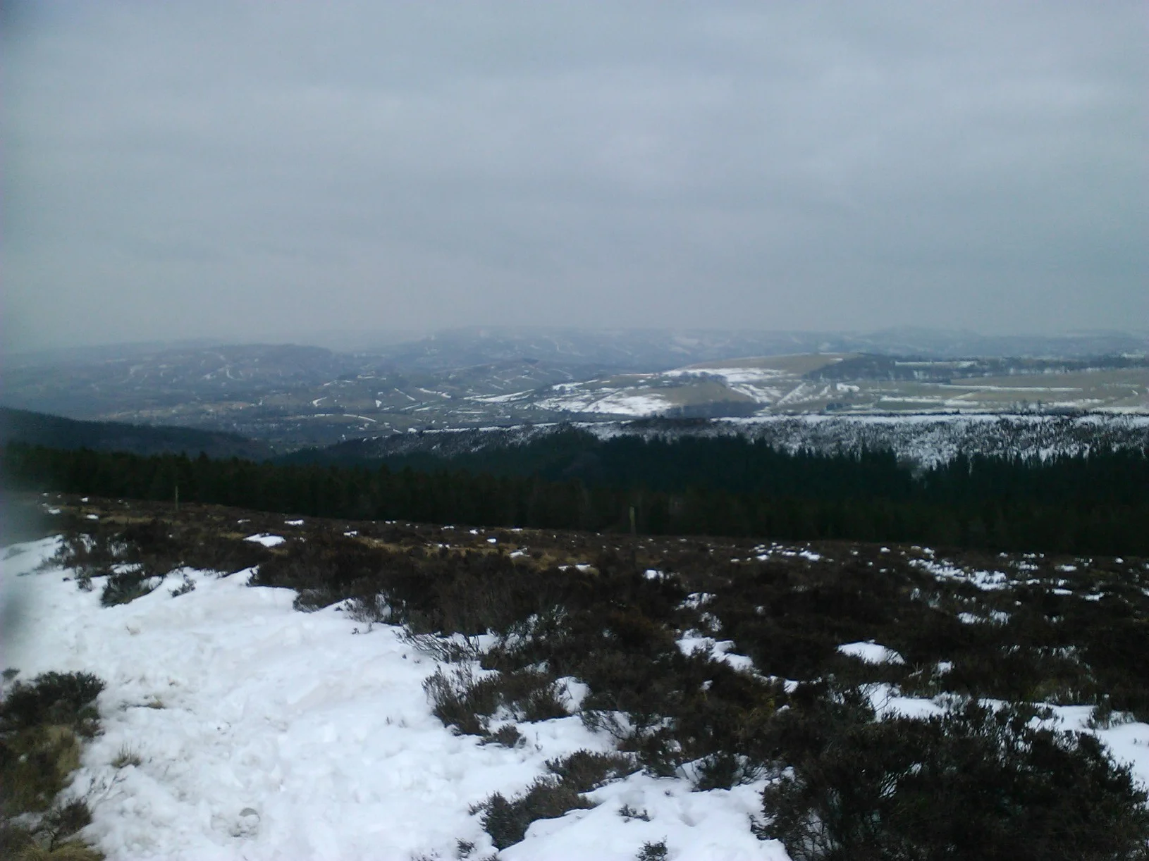 WP_000567.jpg