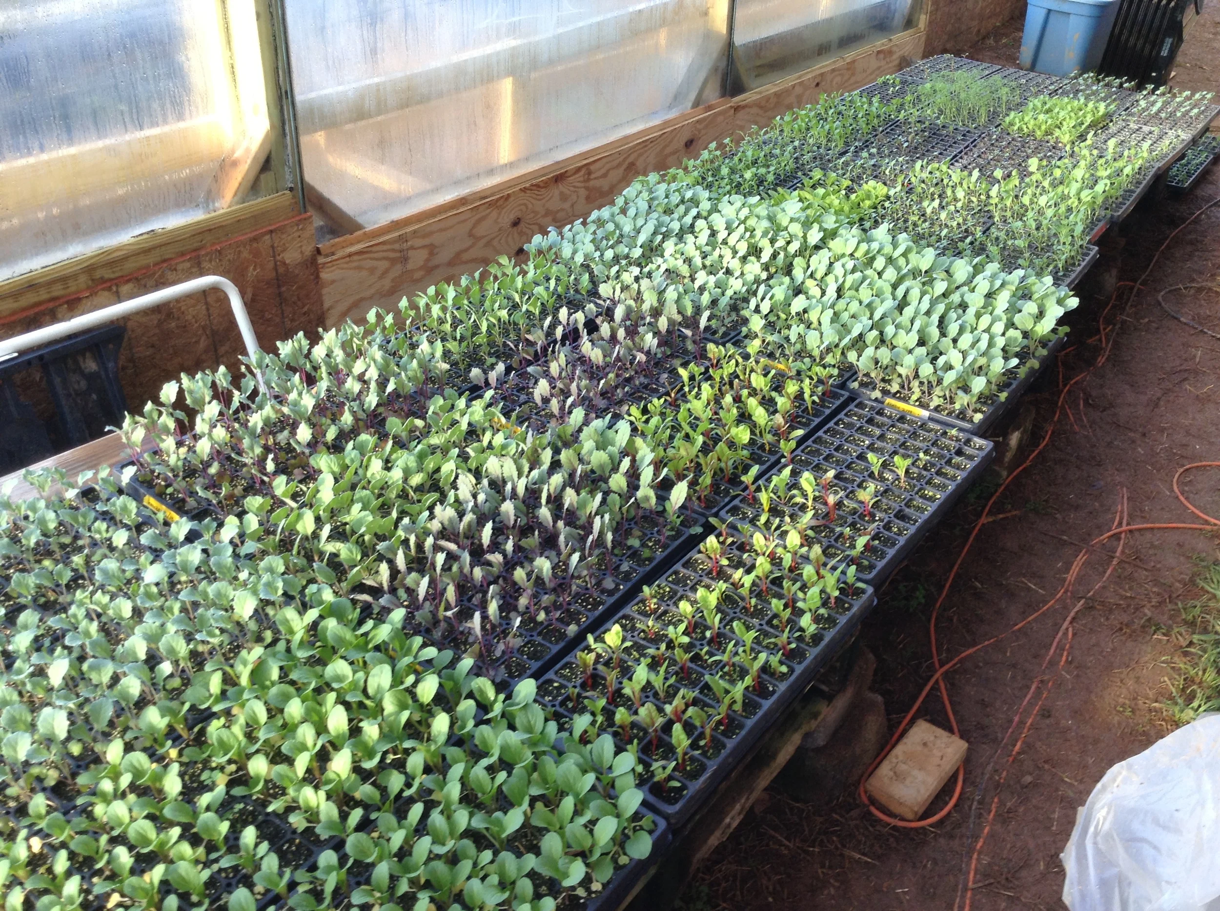 Almost ready for the field...