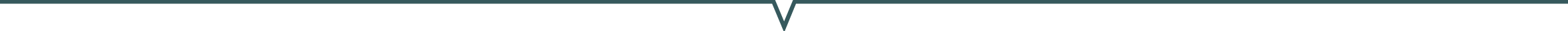 V_Line.png