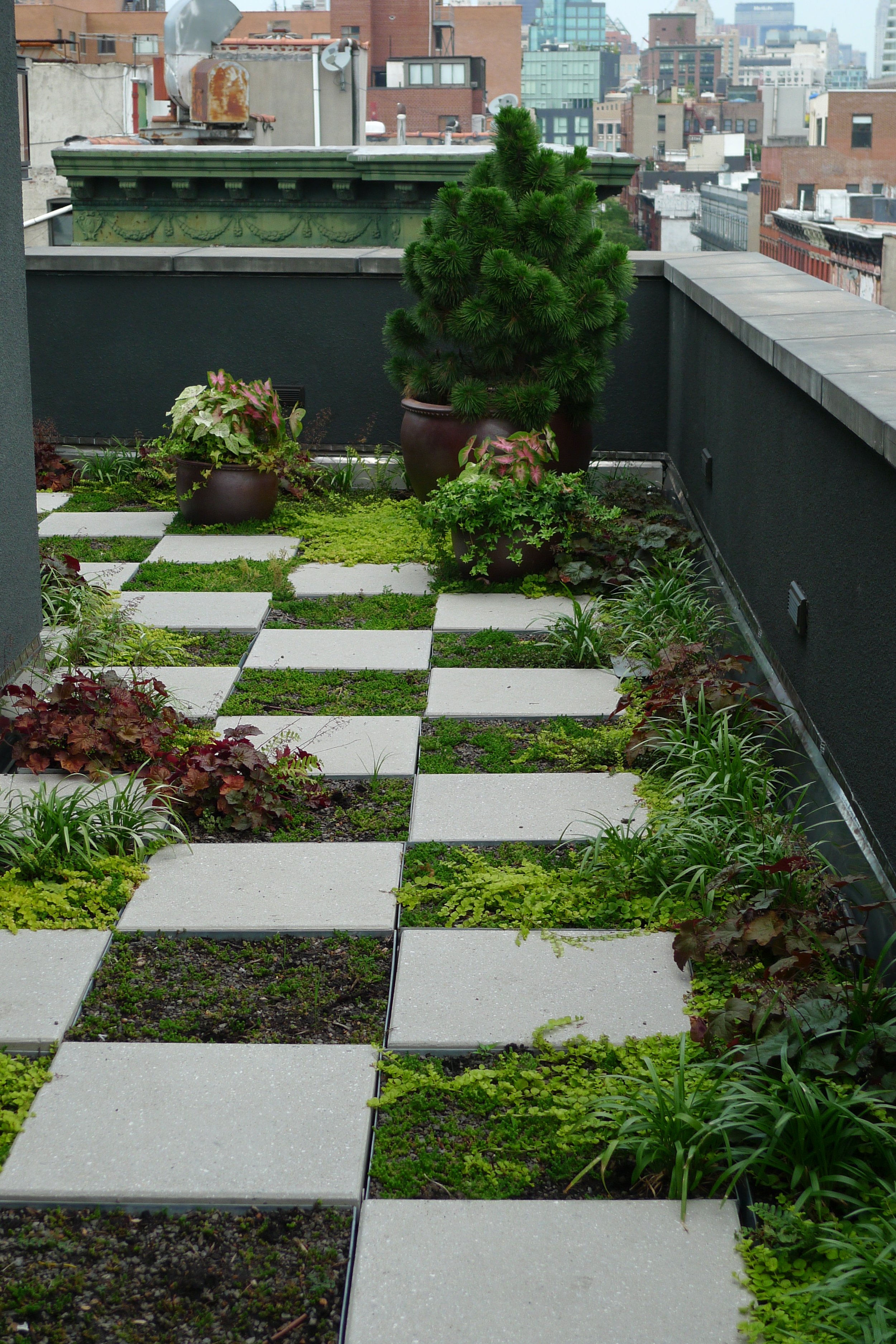 Penthouse rooftop garden designed installed and maintained by Halsted Welles Associates showing a corner with checkerboard alternating stone pavers and grassy squares  with creeping groundcover and a series of bronze pots full of plants