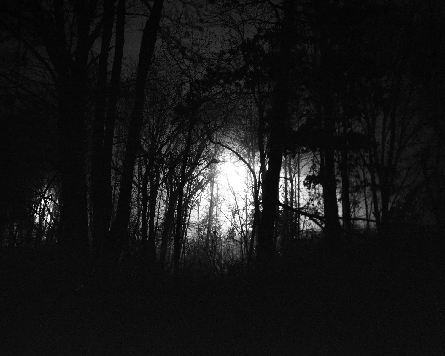 4X5 CMA - FiNAL 10 copy.jpg