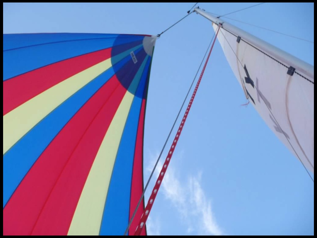 Looking aloft from