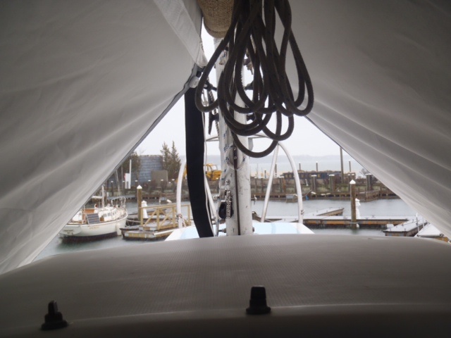 Under the boom tent