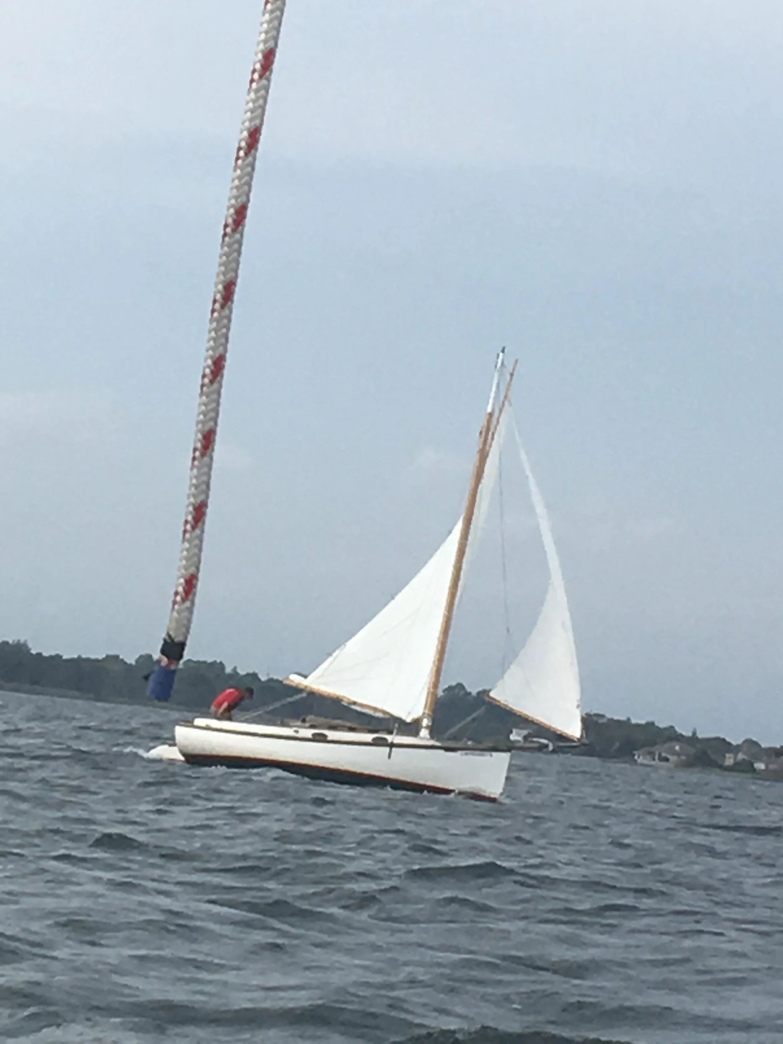 Cat Boat
