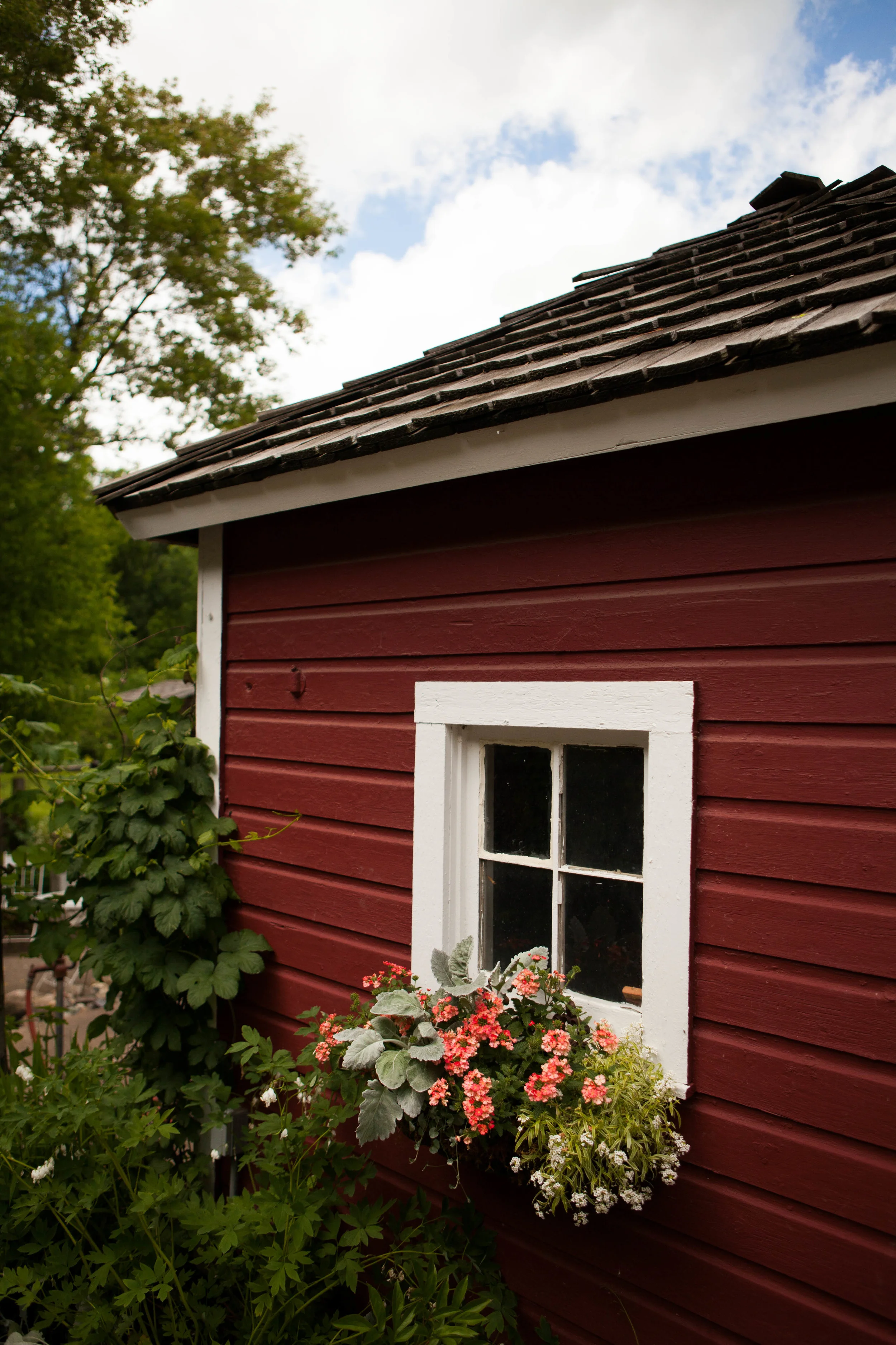 Camrose Hill Farm 007.jpg