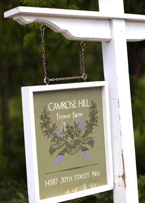  Camrose Hill Flower Farm is a beautiful wedding day venue located right here in Stillwater, MN. 