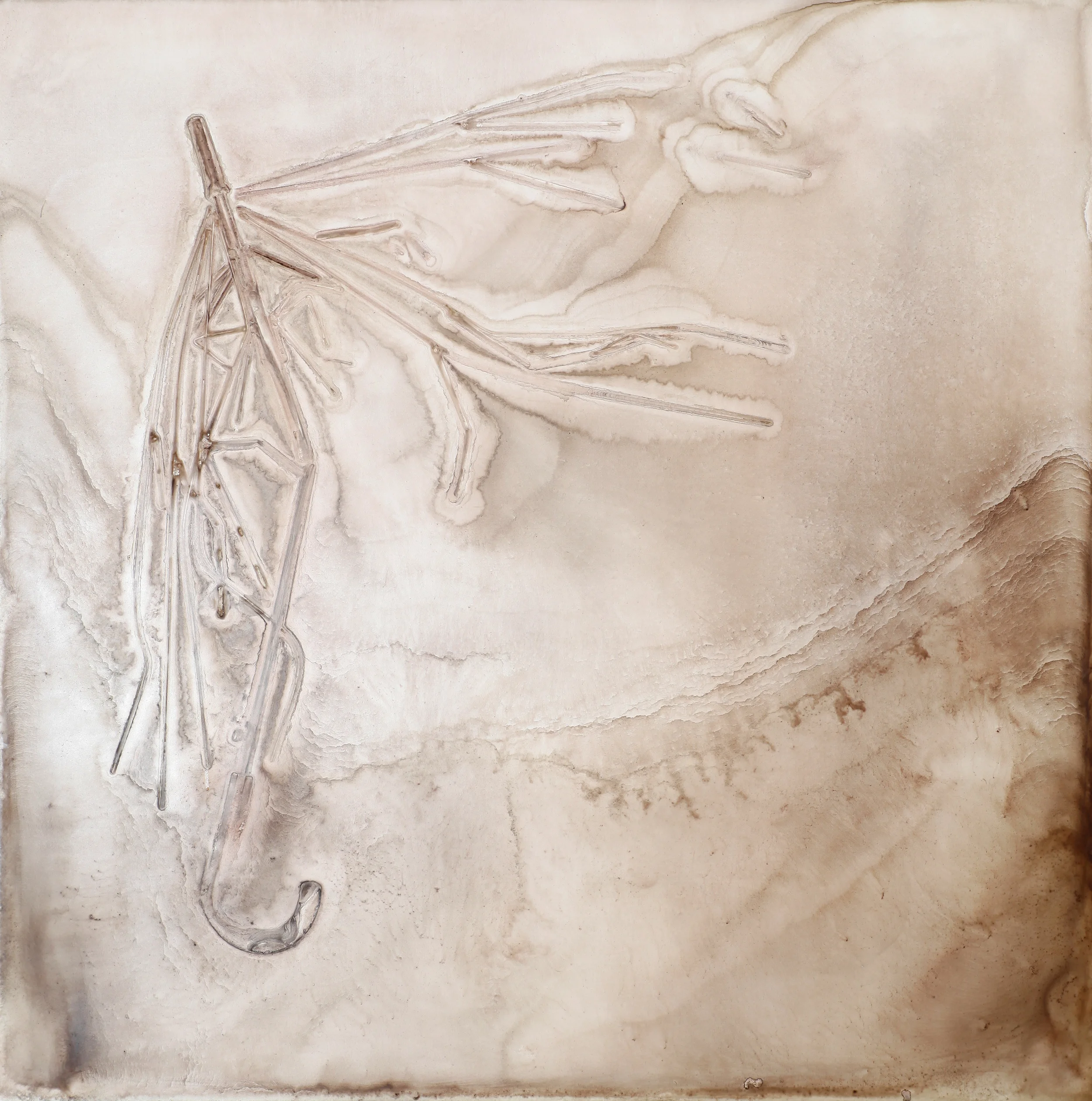 Ghost Umbrella | 2013 | watercolor on panel | 42" x 42" 