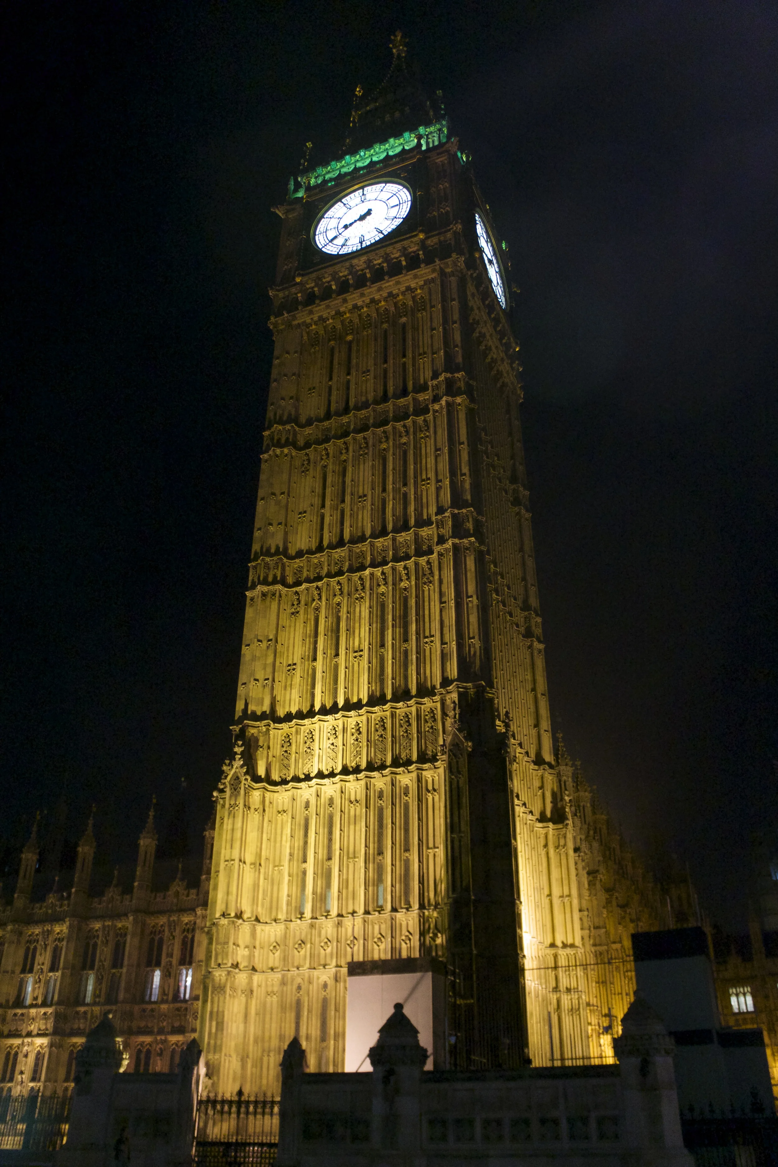 DSC08523.jpg