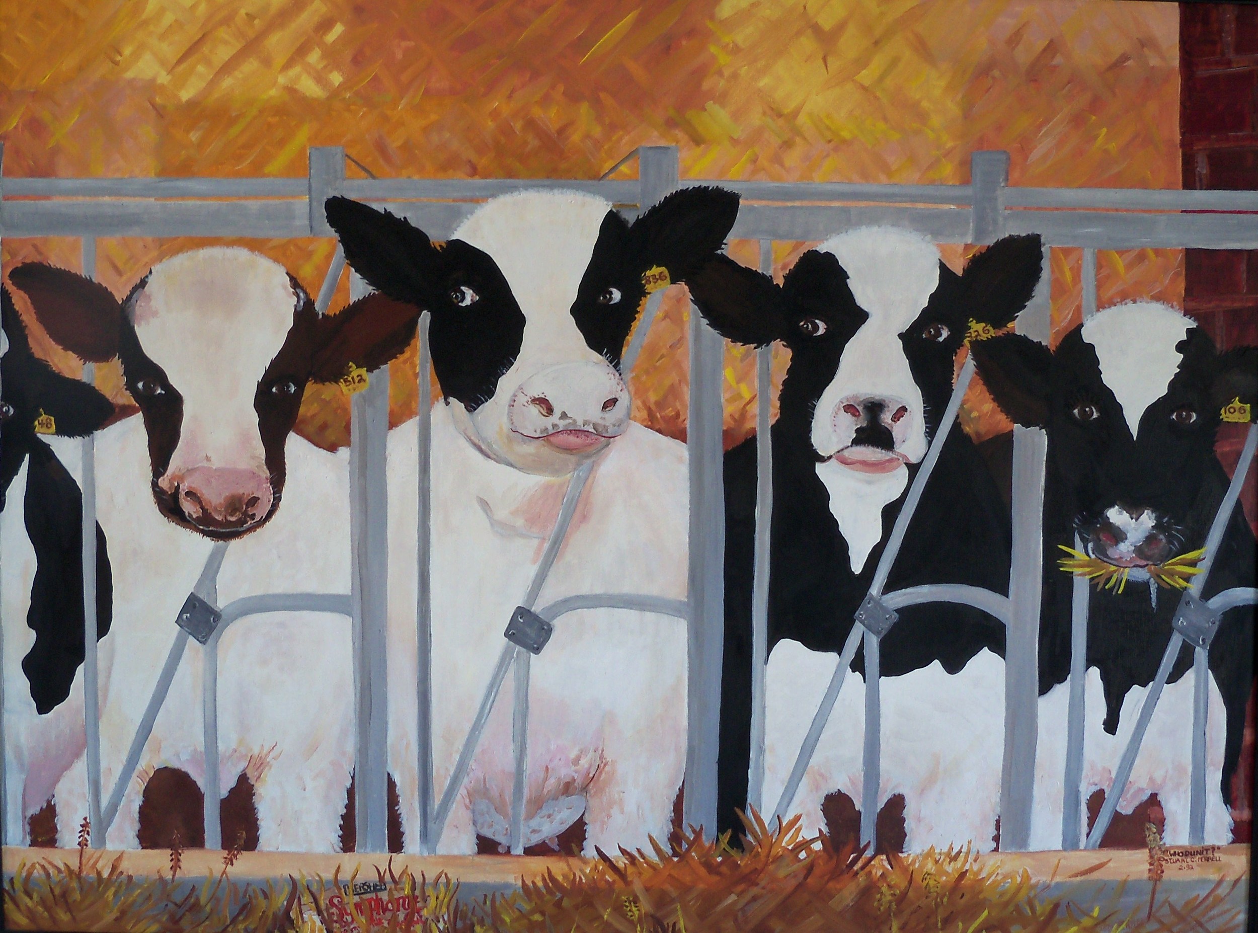 Animals