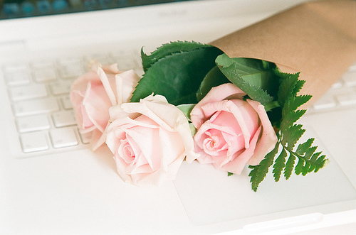 roses.jpg