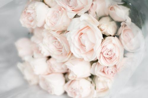 roses1.jpg
