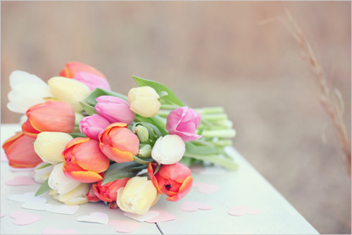 tulips.jpg
