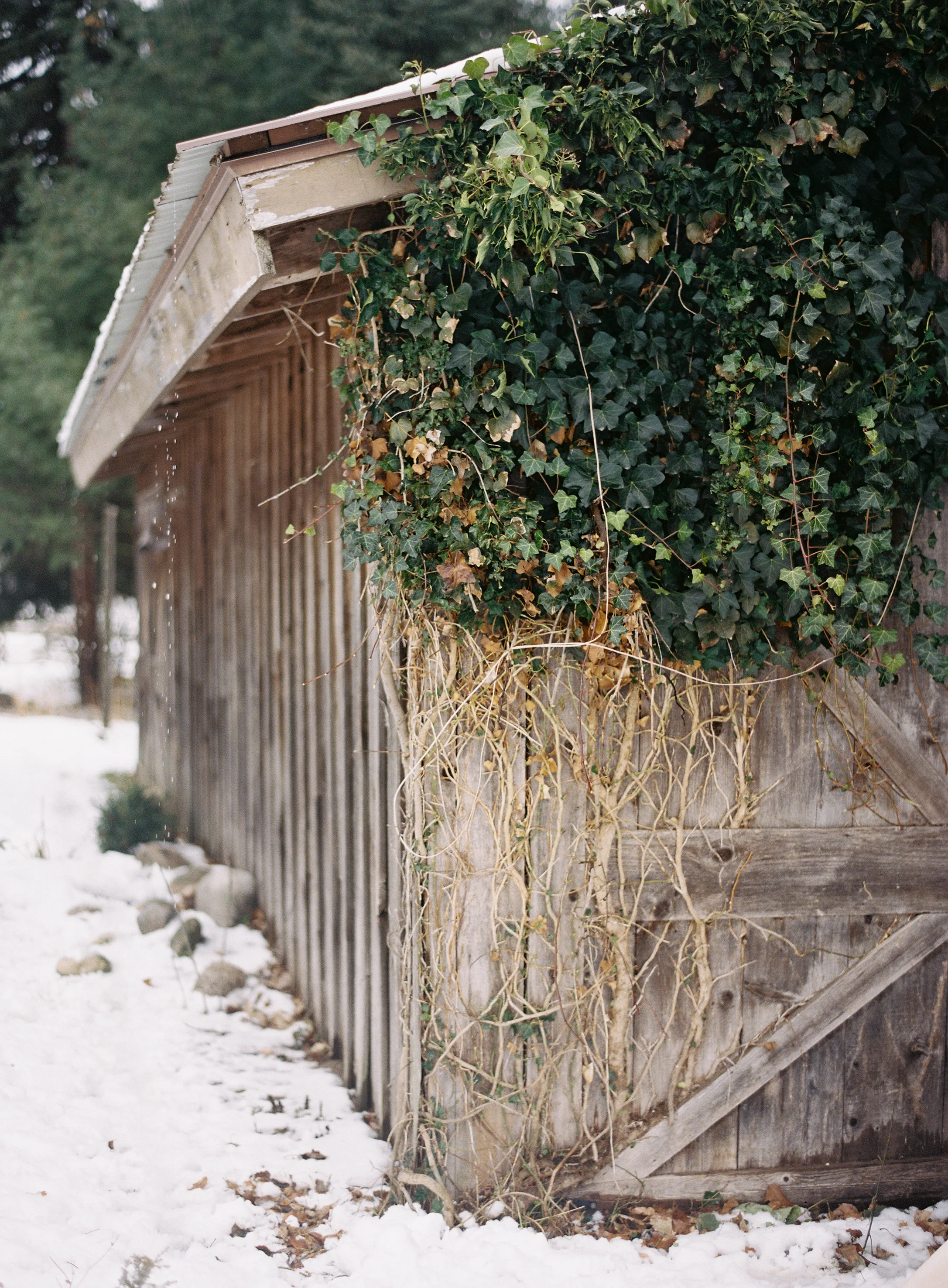StyledWinterWeddingSelects0002.jpg