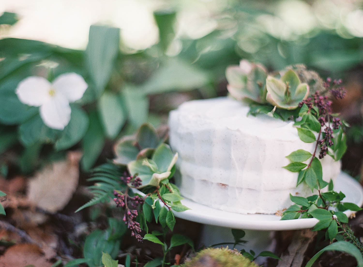 gorgeous natural woodland cake