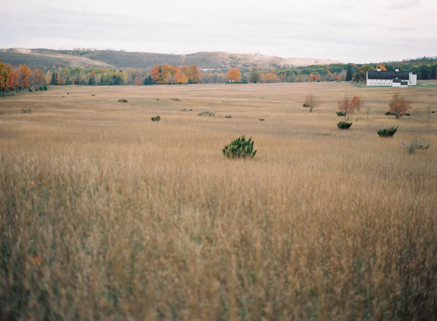 northern michigan open field engagement photos