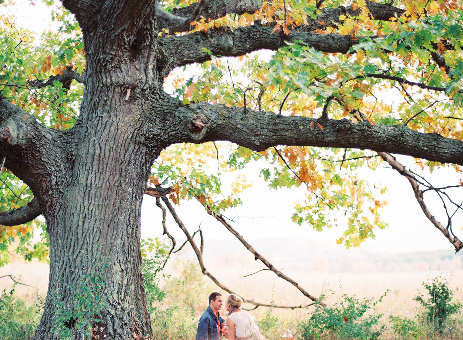 engagement shoot under big tree on picnic blanket
