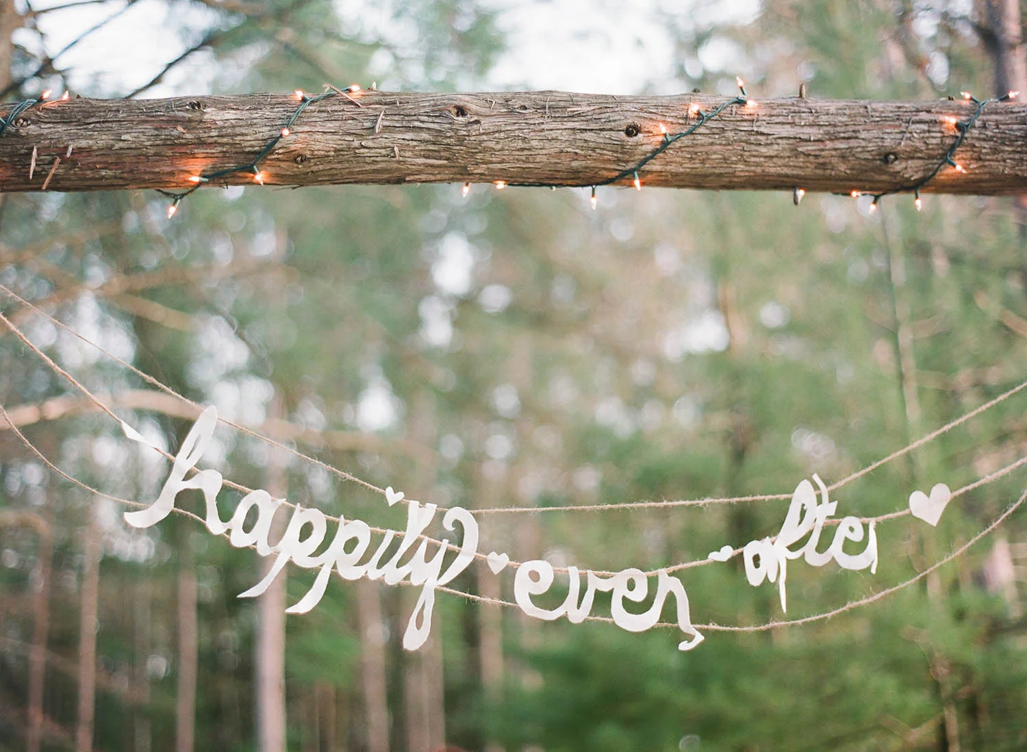 happily ever after paper cut banner