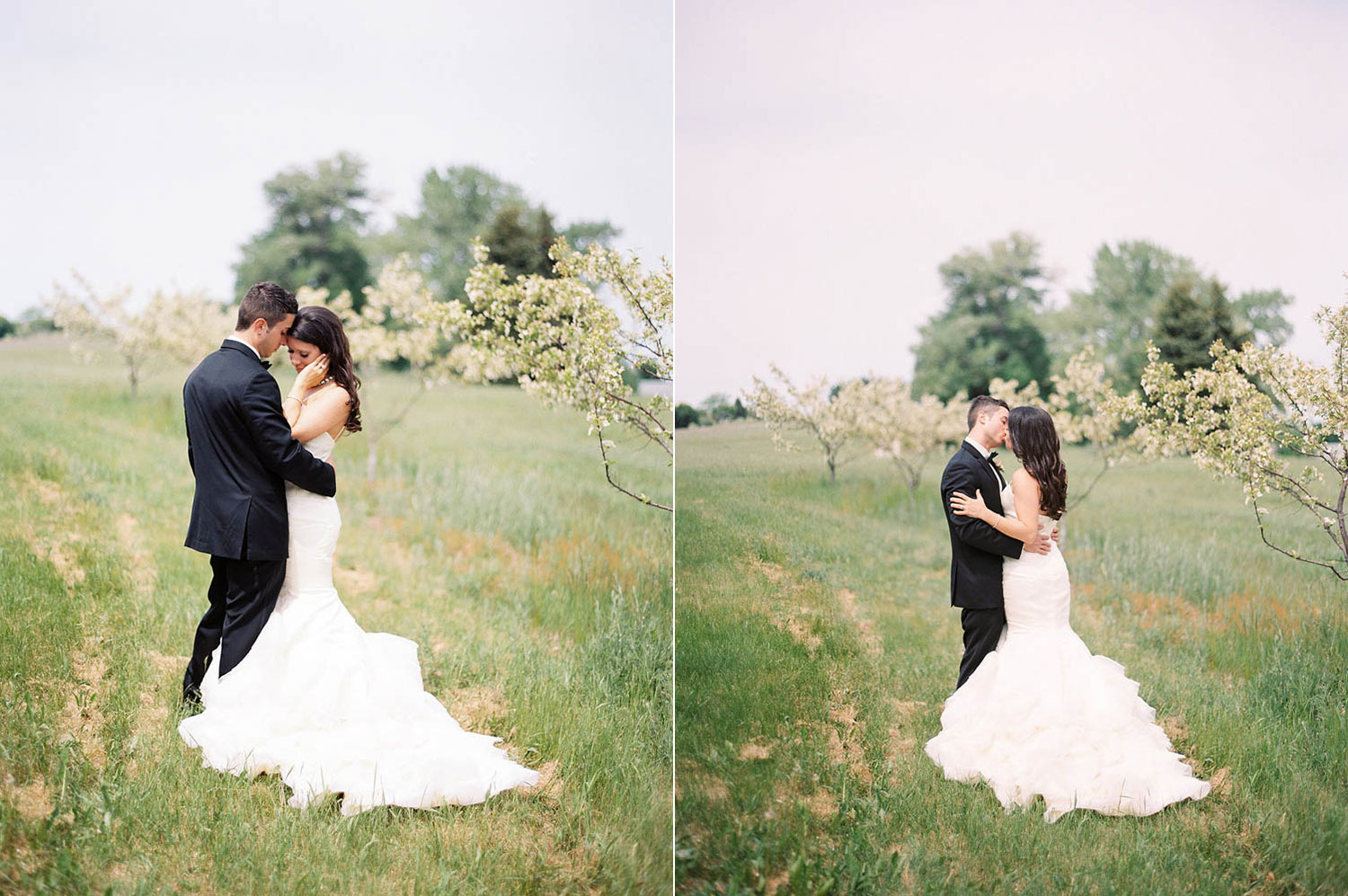 elegant blush michigan vineyard wedding