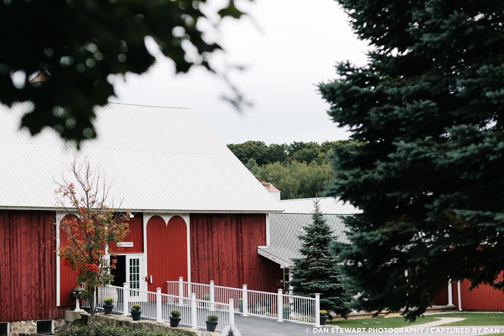 black star farms, suttons bay