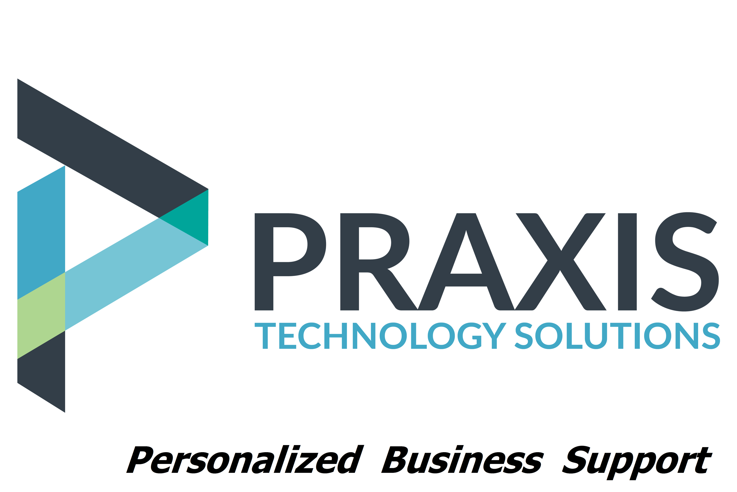 PRAXIS-LOGO-TAG-01.png