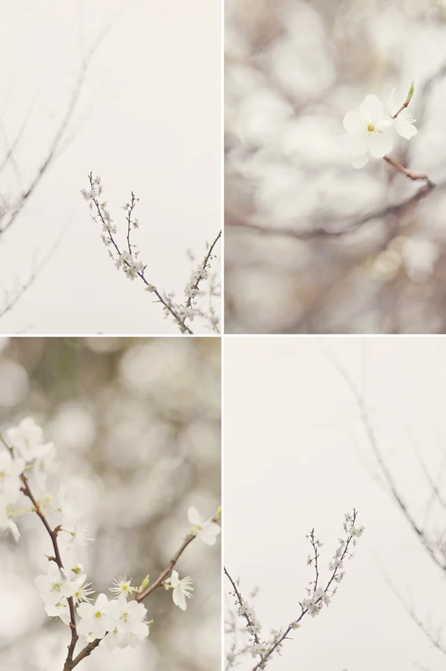 spring.jpg