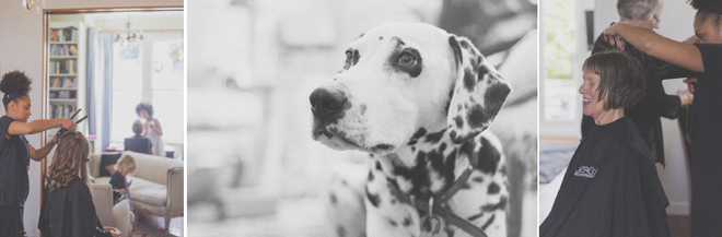Portrait of Doris the dalmatian and hair being done during wedding preparations.