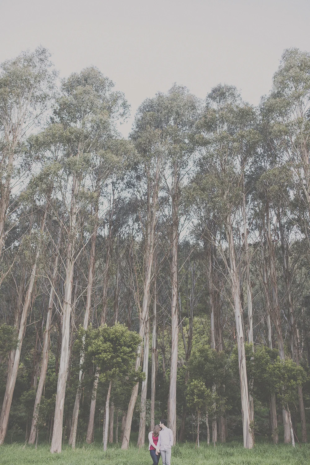 Couple kissing tenderly with tall eucalyptus trees behind them. Photography by Jenny Siaosi.