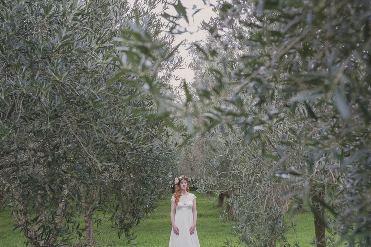 Olive+Grove+Wedding.jpg