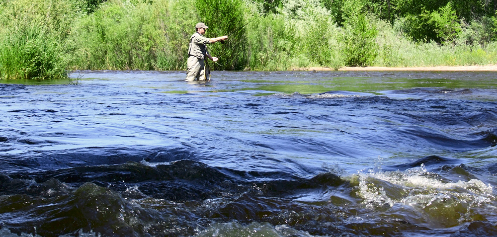 Fly-fishing.jpg