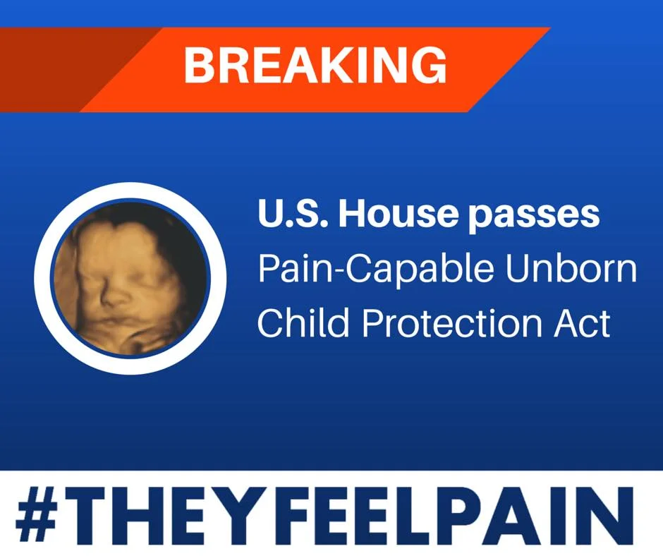 H.R. 36 Pain Capable Unborn Child Act has PASSED!