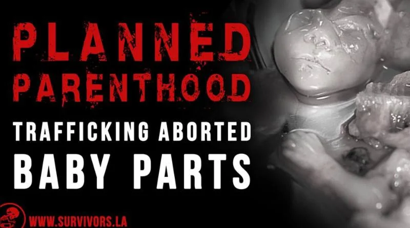 Join the Rally this Saturday!