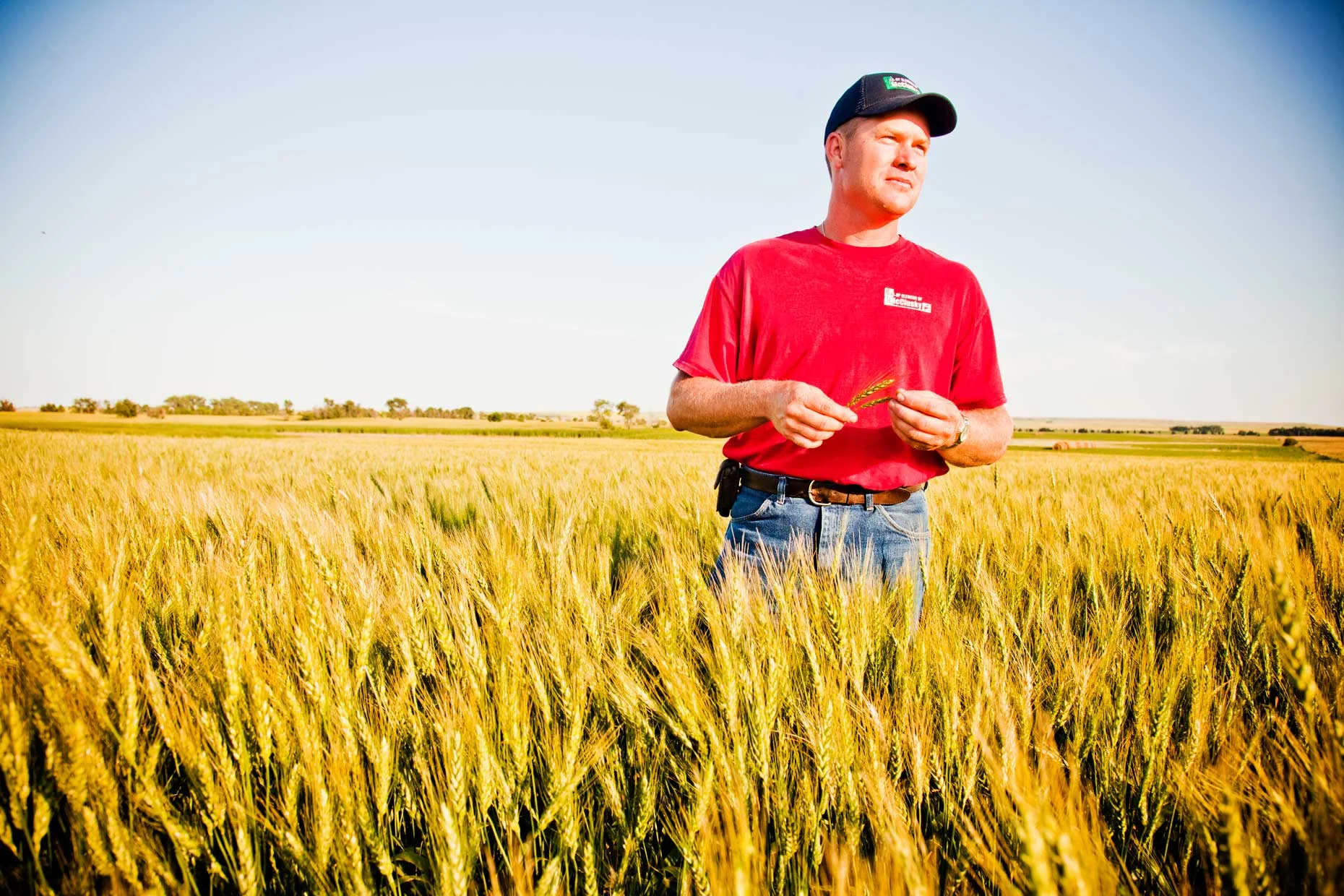 Web_OntheFarm8.jpg